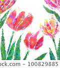 Tulip illustration 100829885