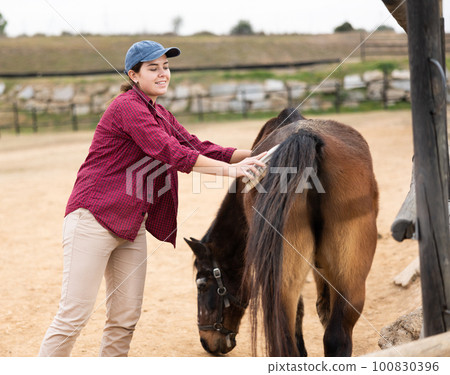 Woman washing and brushing a horse in the backyard of farm 100830396