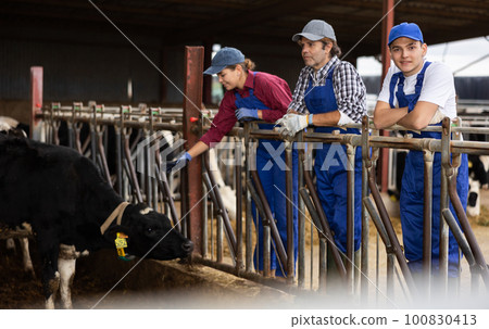 Man woman and boy farmers posing at dairy farm Man woman and boy farmers posing at dairy farm 100830413