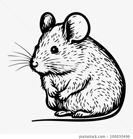 Hand drawn mouse or rat. Sketch, vector illustration. 100830496
