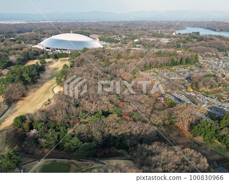 Aerial view of Seibu Dome Aerial view of Seibu Dome 100830966
