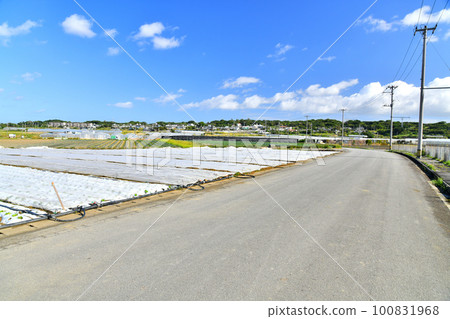 Scenery around Makabe and Arakaki in Itoman City, Okinawa Prefecture (Itoman City, Okinawa Prefecture) [February 2023] 100831968
