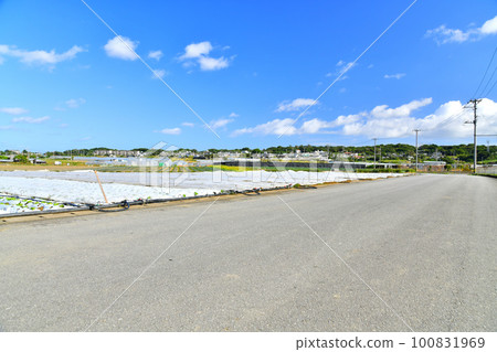 Scenery around Makabe and Arakaki in Itoman City, Okinawa Prefecture (Itoman City, Okinawa Prefecture) [February 2023] 100831969