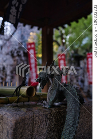 京都六角堂長津屋和櫻花 100832232