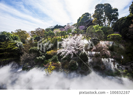 Chinzanso櫻花園的“Kuchu Teien”的景色，擁有三層寶塔，註冊有形文化財產，周圍環繞著“東京云海” 100832287