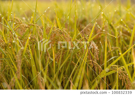 220918 Uenodaira m112 220918 Uenodaira m112 100832339