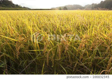 220918 Uenodaira s063 220918 Uenodaira s063 100832345