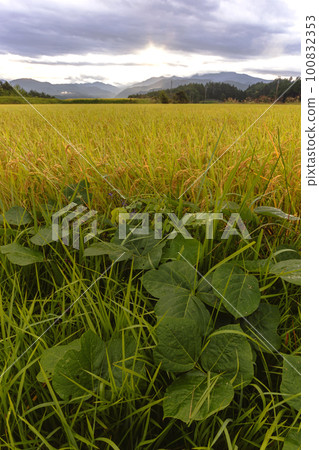 220918 Uenodaira s047 100832353