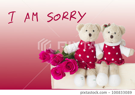 i am sorry message card handwriting with couple teddy bear and red rose 100833089