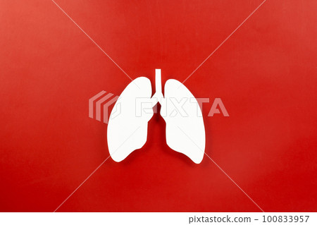 World tuberculosis day. Top view Lungs paper decorative symbol on red background, copy space, concept of world TB day, no tobacco, Medical and healthcare, lung cancer awareness, 24 March 100833957