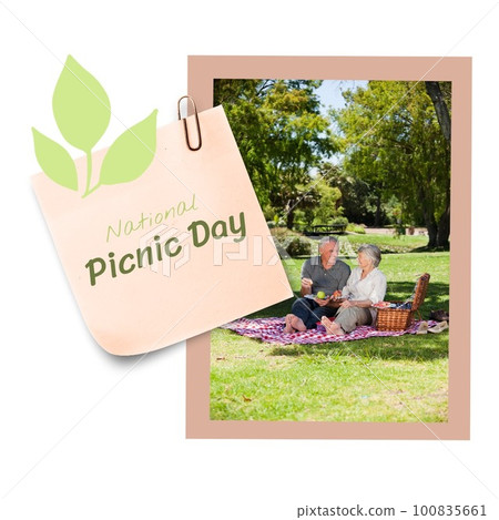Composite of national picnic day text, plant scribble, caucasian senior couple having food in park Composite of national picnic day text, plant scribble, caucasian senior couple having food in park 100835661