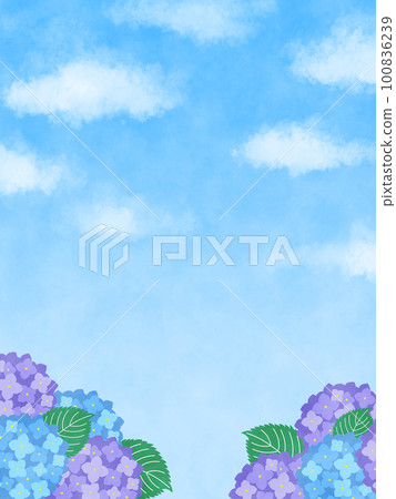 Illustration frame of blue and purple hydrangeas and leaves under the sunny sky and clouds Vertical Illustration frame of blue and purple hydrangeas and leaves under the sunny sky and clouds Vertical 100836239