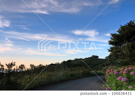在安靜的山丘上，您可以看到夕陽 100836431