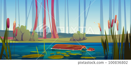 Green swamp with floating log, cattail near lake 100836802