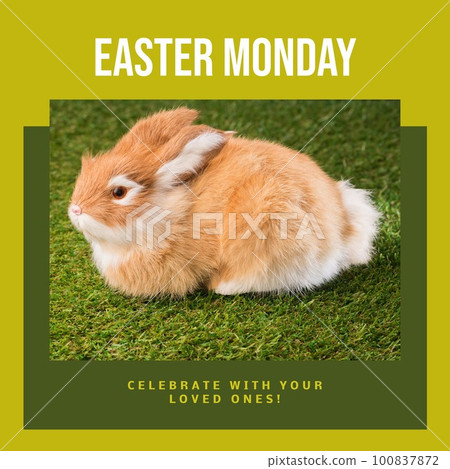 Image of easter monday text over rabbit on grass Image of easter monday text over rabbit on grass 100837872