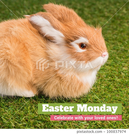 Image of easter monday text over rabbit on grass 100837974