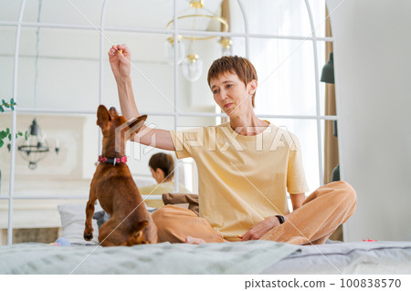 Owner playing with joyful dog at home, happy mature woman enjoying exercise Owner playing with joyful dog at home, happy mature woman enjoying exercise 100838570