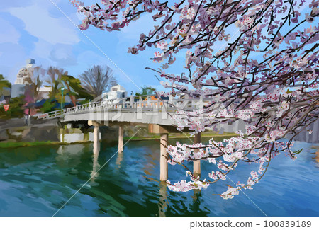Kanazawa, cherry blossoms and Nakanohashi 100839189