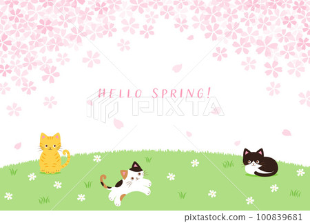 舞動著櫻花花瓣和貓的田野的背景插圖 100839681