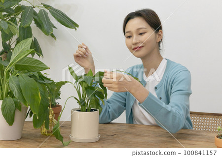 happy single life of korean woman growing plants at home 100841157
