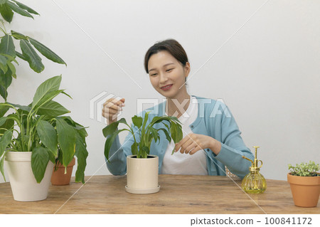 happy single life of korean woman growing plants at home happy single life of korean woman growing plants at home 100841172