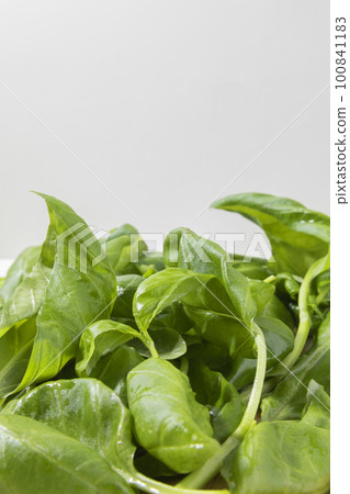 fresh basil fresh basil 100841183
