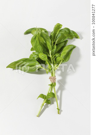 fresh basil 100841277