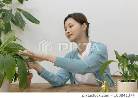happy single life of korean woman growing plants at home 100841374