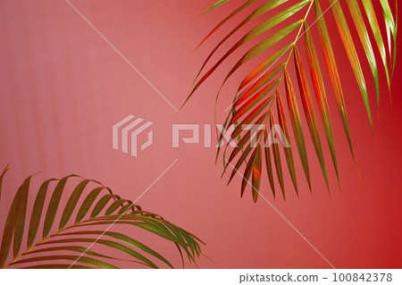 colorful flower background_palm leaf 100842378