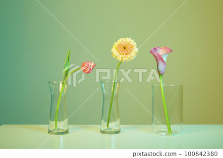 colorful flower background_flower 100842380