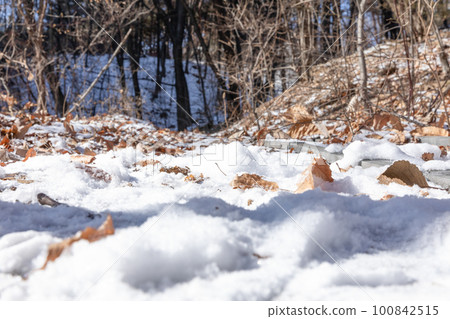 snowy winter landscape 100842515