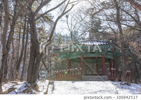 snowy winter landscape 100842517