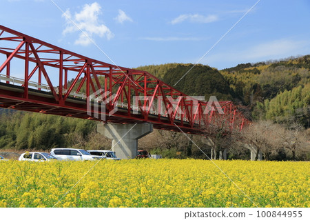 Spring coming 100844955