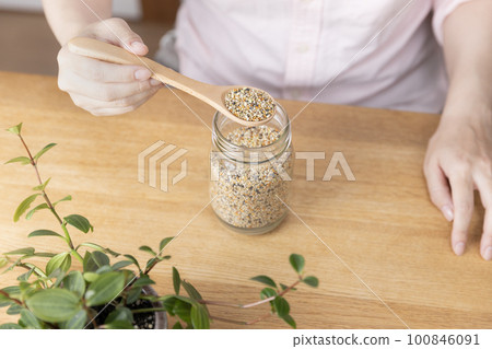 A woman scooping food for small birds 100846091