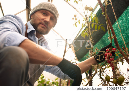 Close-up portrait of a smiling gardener holding branches and leaves of lettuce and vegetables grown in his garden, farming as a hobby, his garden vegetable garden, country house 100847197