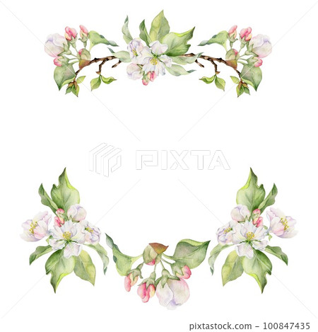 Hand drawn watercolor apple blossom, white and pink flowers with green leaves. Square frame composition. Isolated object on white background. Design for wall art, wedding, print, fabric, cover, card. 100847435