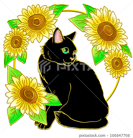 一隻黑貓和一朵大向日葵坐在一起 一隻黑貓和一朵大向日葵坐在一起 100847708