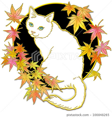 抬頭看秋葉的貓_白貓_背景黑色 100848265