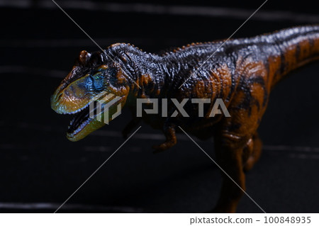 Ferocious carnivorous dinosaur Tyrannosaurus Ferocious carnivorous dinosaur Tyrannosaurus 100848935