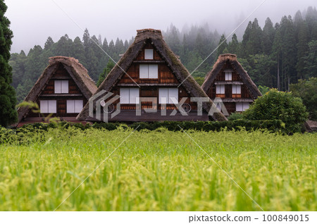 Summer Shirakawa Town Summer Shirakawa Town 100849015