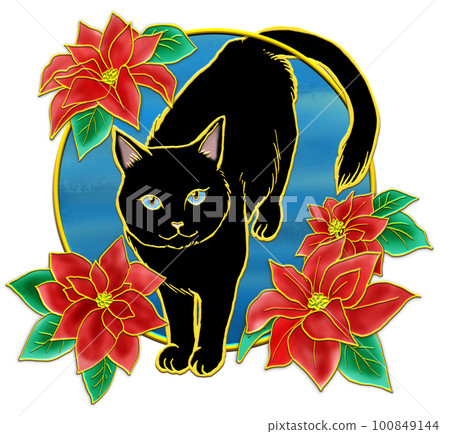 Poinsettia and cat _ black cat _ background sky blue Poinsettia and cat _ black cat _ background sky blue 100849144