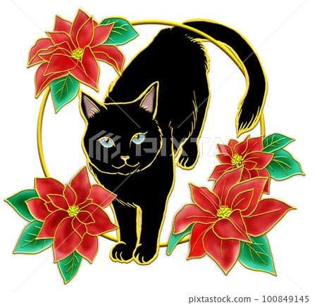 Poinsettia and cat _ black cat _ transparent background Poinsettia and cat _ black cat _ transparent background 100849145