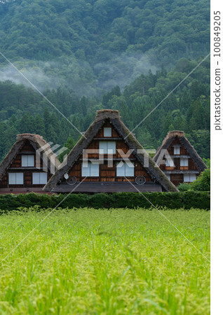 Shirakawago in fog 100849205