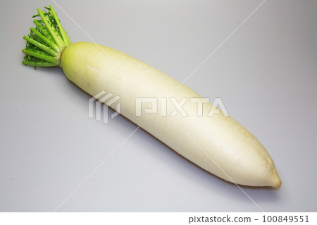 Fresh vegetable daikon radish bought at a farmer's market 100849551