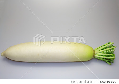 Fresh vegetable daikon radish bought at a farmer's market 100849559