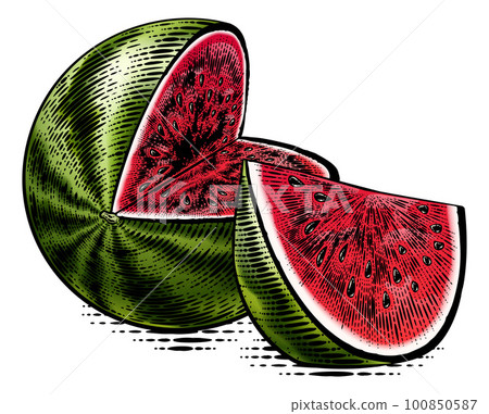 Watermelon Vintage Woodcut Engraved Style Drawing 100850587