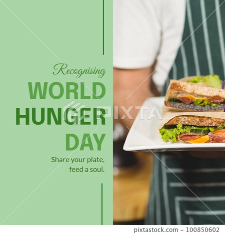 Composition of world hunger day text and plate with sandwiches 100850602