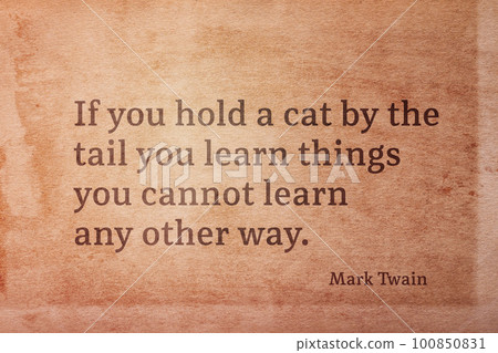 cat by tail Twain 100850831