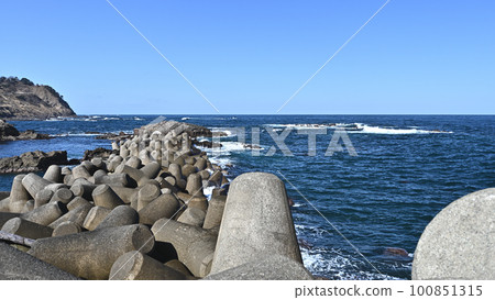 Tetrapod  100851315