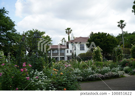 橫濱 Minato-no-Mieruoka 公園的春天 100851622